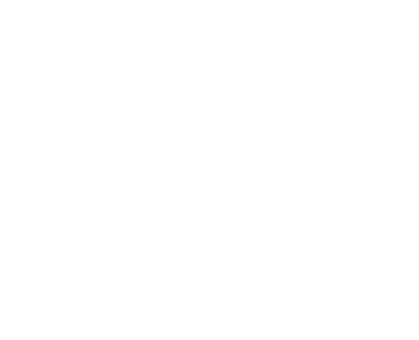 Photography | The Web Univers