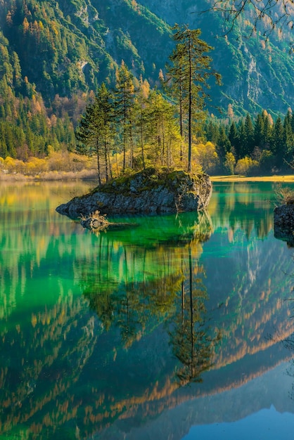 Scenic view of lake in forest | The Web Univers