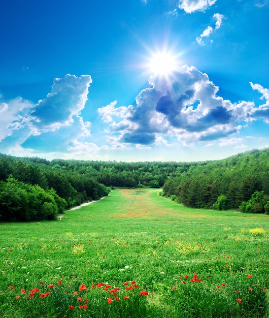 Beautiful landscape | The Web Univers