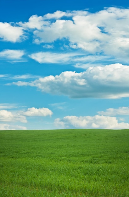 Spring landscape scenery beauty in nature landscapes and environment concept | The Web Univers