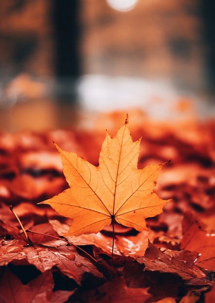 Ai generated fall leaves | The Web Univers