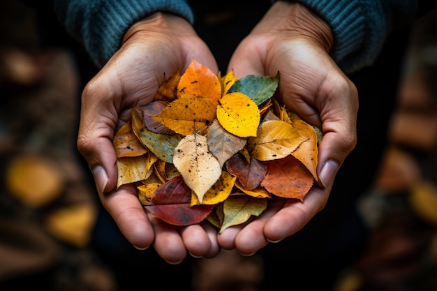 Personne tenant des feuilles d'automne sèches dans les mains | The Web Univers