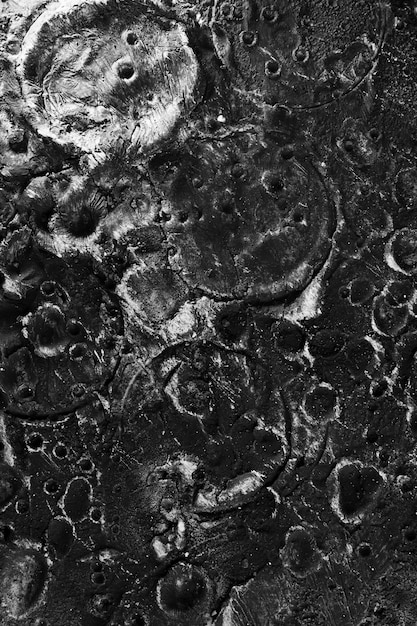 Black and white details of moon texture concept | The Web Univers
