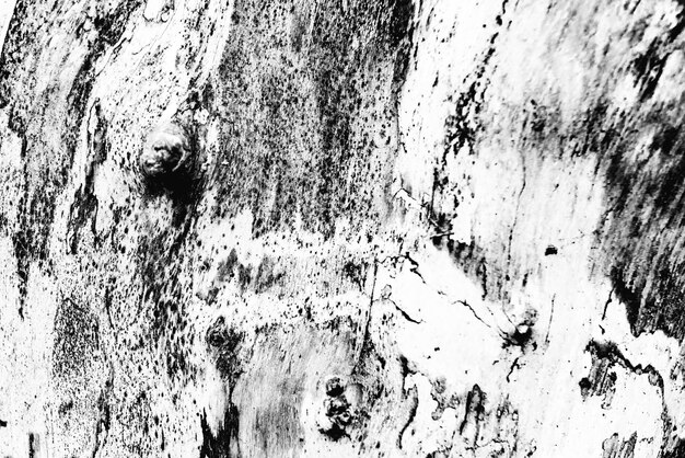 Wooden texture with scratches and cracks. it can be used as a background | The Web Univers