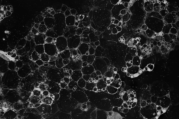 Black and white bubble art black background monotone style | The Web Univers