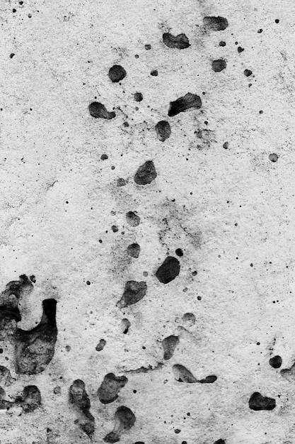 Black and white details of moon texture concept | The Web Univers