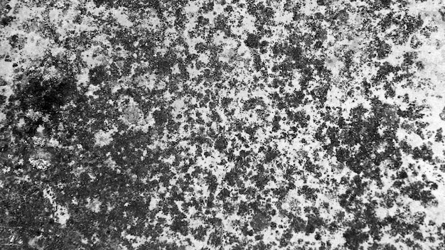 Black and white grunge texture | The Web Univers
