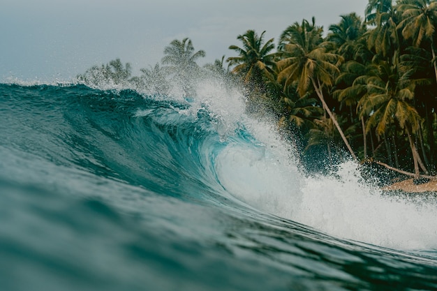 Inside view of the huge breaking wave of the sea in mentawai islands, indonesia | The Web Univers