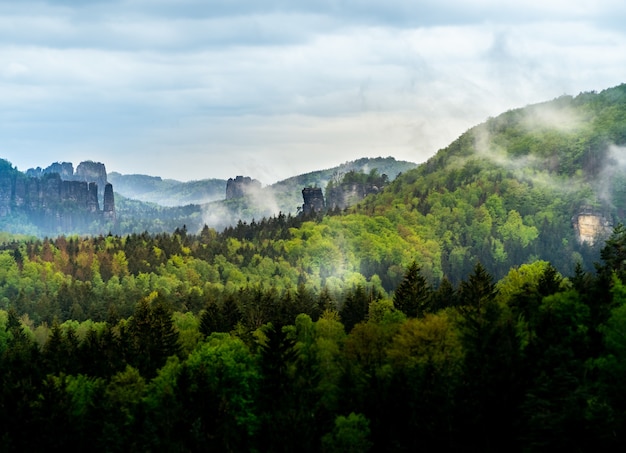 Beautiful view of the bohemian switzerland landscape in czech republic with trees | The Web Univers