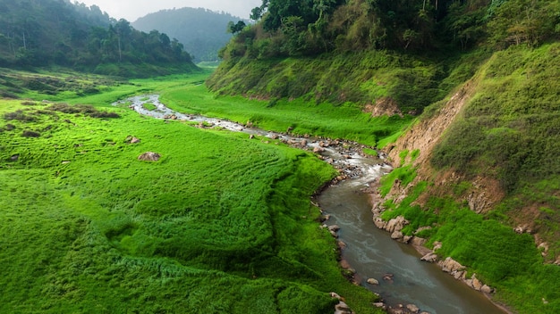 Aerial view of beautiful natural water stream and green field of grass in the wild forest mountain concept traveling and relaxing on holiday time | The Web Univers