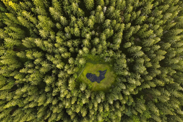 Aerial top view forest tree rainforest ecosystem drone photography lake in the middle of the forest slovakia | The Web Univers