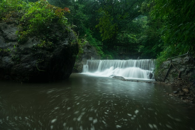 Beautiful shot of a waterfall below meghalaya double root bridge | The Web Univers