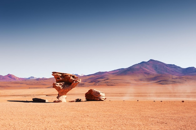 Stone tree arbol de piedra in the desert on plateau altiplano, bolivia. south america landscapes | The Web Univers