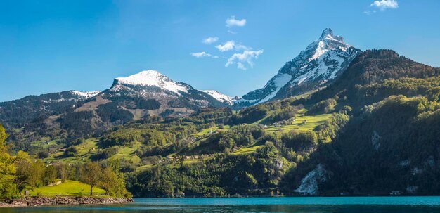Mountain peaks in swiss alps summer landscape in switzerland | The Web Univers