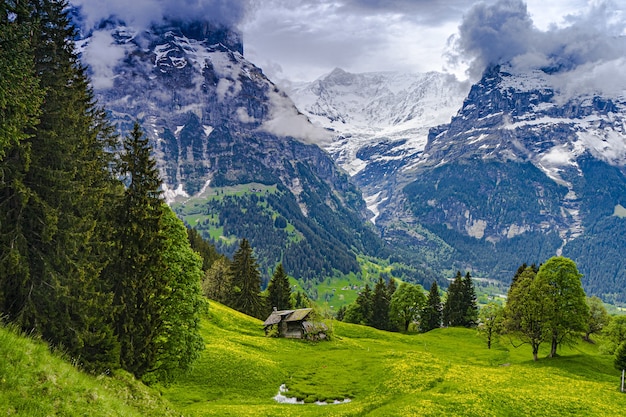 Looking across the valley to the towering mountains | The Web Univers