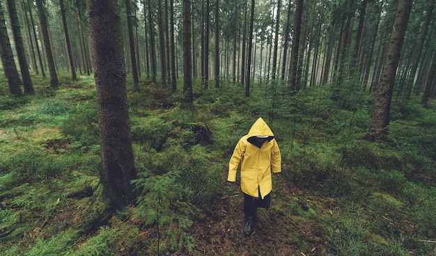 Hiker with yellow rain jacket walks in the foggy forest | The Web Univers