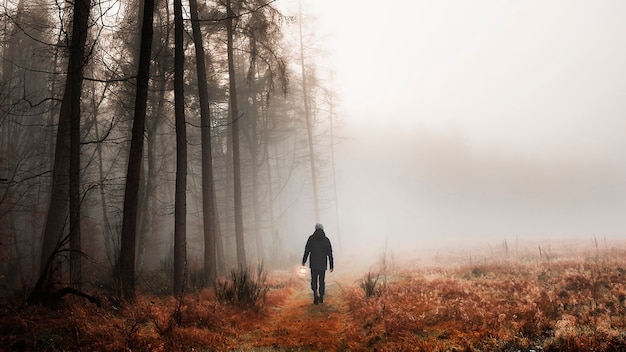 Man walking in a misty woods mobile phone wallpaper | The Web Univers