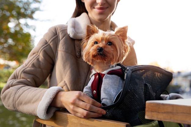 Front view smiley woman with dog in bag | The Web Univers