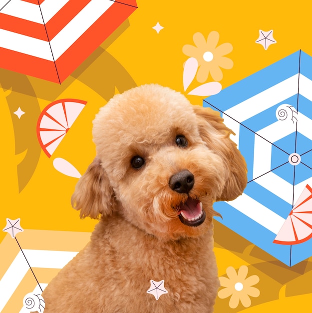Adorable dog with abstract colorful graphic background | The Web Univers