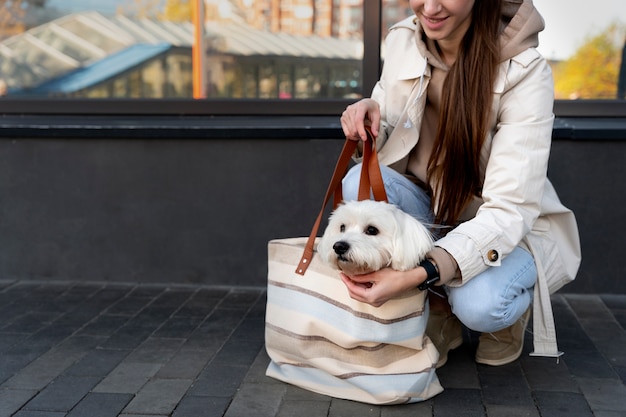 Side view smiley woman carrying dog in bag | The Web Univers