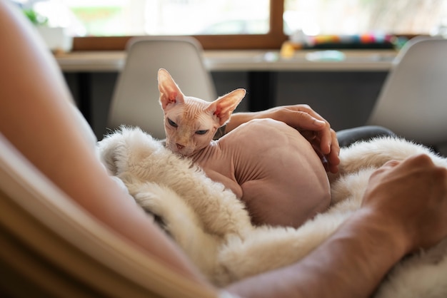 Man being affectionate with cat side view | The Web Univers
