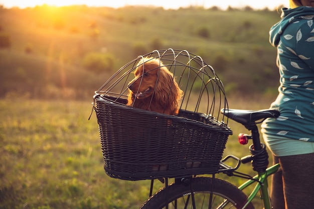 Young woman having fun near countryside park, riding bike, traveling at spring day | The Web Univers