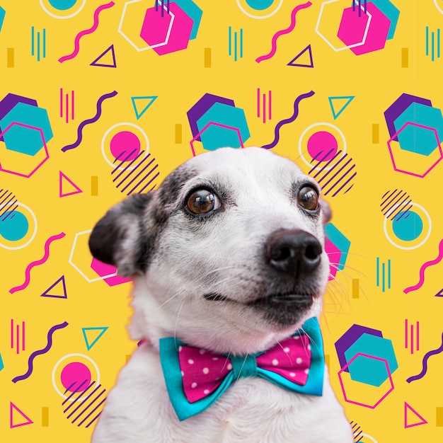 Adorable dog with abstract colorful graphic background | The Web Univers