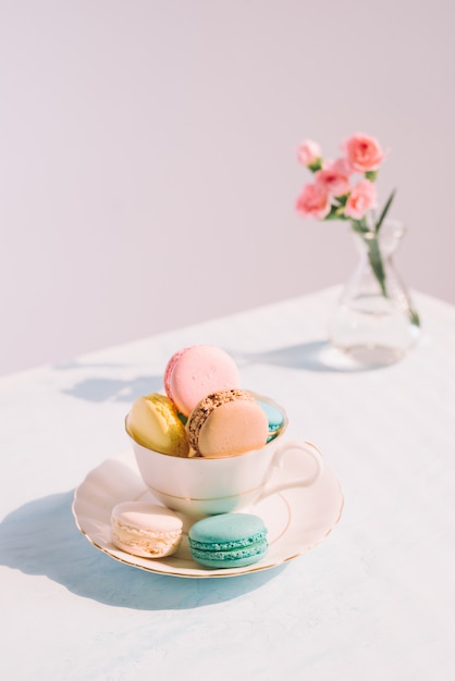 Delicious french dessert. colorful pastel cake macaron | The Web Univers