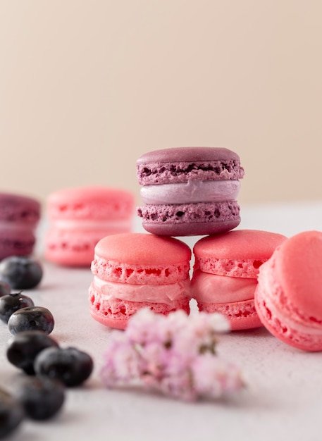 Delicious forest fruits macarons compositions | The Web Univers