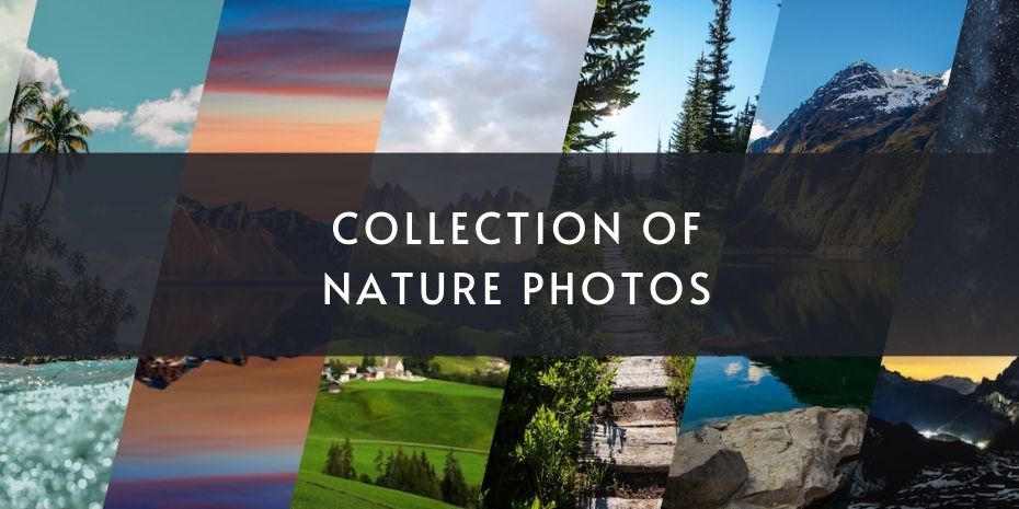 Collection of nature photos